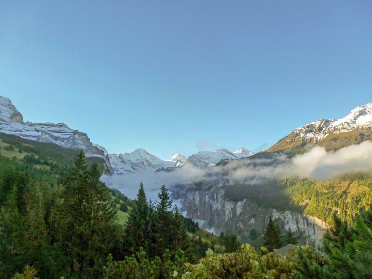 Chalet Zwaergli By Interhome Wengen Exterior foto